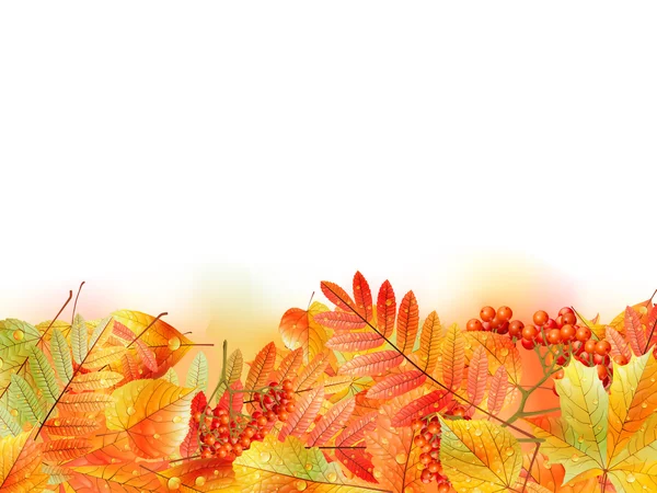 葉を持つ秋の背景。学校に戻る. — ストックベクタ