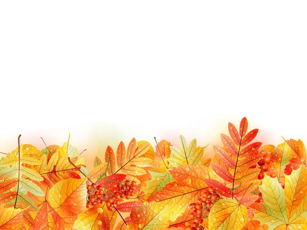 秋天的背景叶。回学校去. — 图库矢量图片