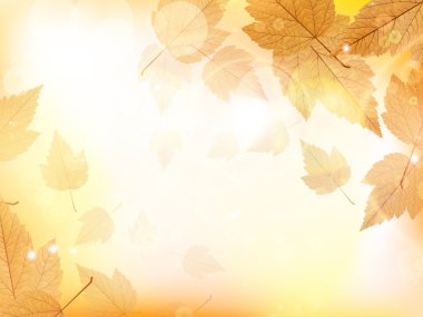 sonbahar tasarım arka plan ile yaprakları