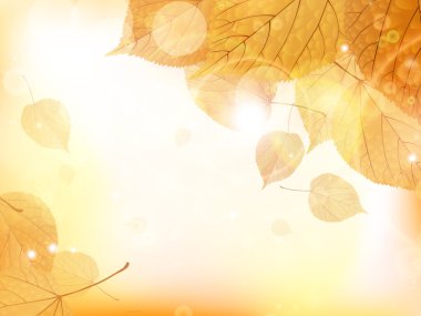 sonbahar tasarım arka plan ile yaprakları