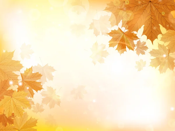 秋のデザインの背景と葉します。 — ストックベクタ