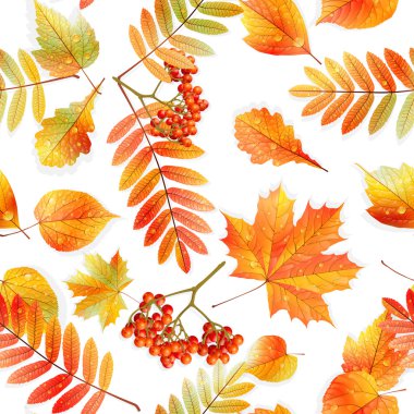 renk örneğini hazır detaylı kesintisiz ıslak yapraklar.