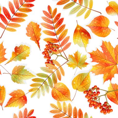 renk örneğini hazır detaylı kesintisiz ıslak yapraklar.