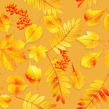 renk örneğini hazır detaylı kesintisiz ıslak yapraklar.