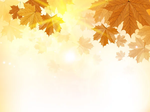 Herbst Design Hintergrund mit Blättern — Stockvektor