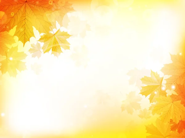 Herbst Design Hintergrund mit Blättern — Stockvektor