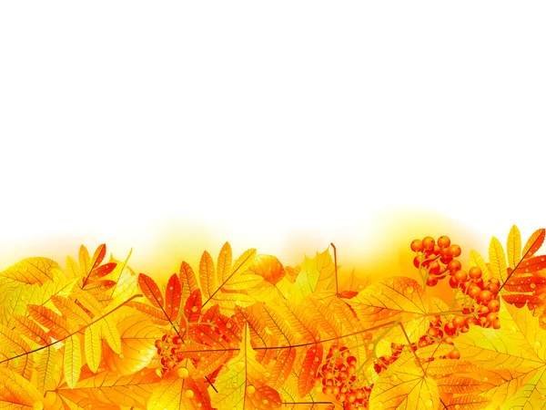 Plantilla de banner de otoño con hoja de arce . — Vector de stock