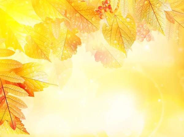 Podzimní listí pozadí. — Stockový vektor