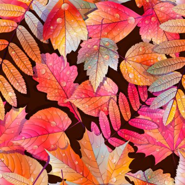 renk örneğini hazır detaylı kesintisiz ıslak yapraklar.