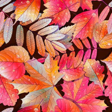 renk örneğini hazır detaylı kesintisiz ıslak yapraklar.