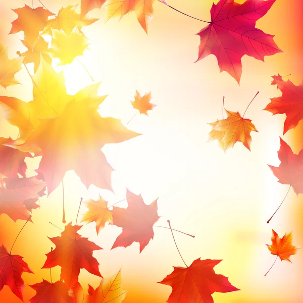 Zarte Herbstsonne mit Glanz am goldenen Himmel. — Stockvektor