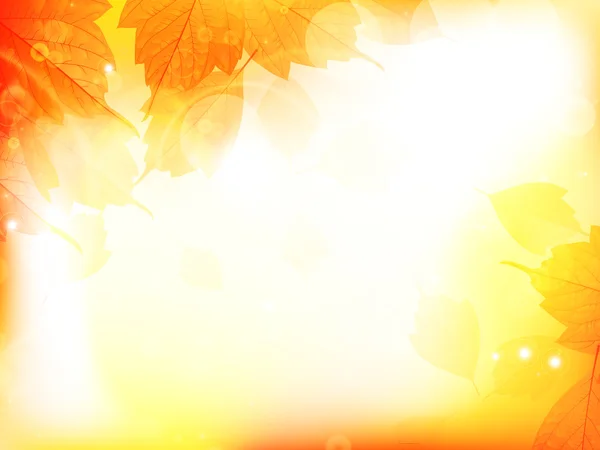 Herfst ontwerp achtergrond met bladeren — Stockvector