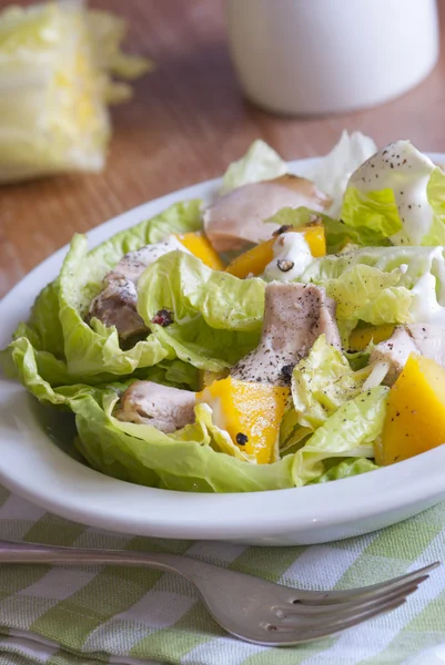 Salada de frango e manga — Fotografia de Stock
