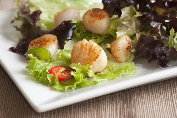 Scallop and leaf salad — Stock Photo, Image