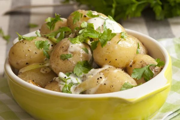 Creamy minted potatoes — Stock Photo, Image