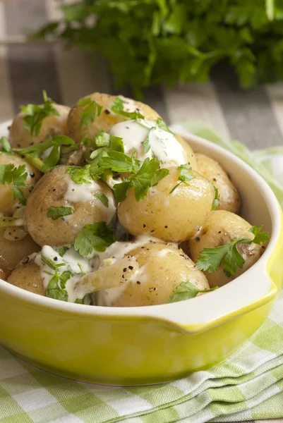 Creamy minted potatoes — Stock Photo, Image