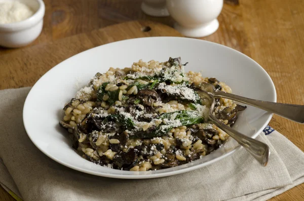 Paddenstoel Risotto — Stockfoto