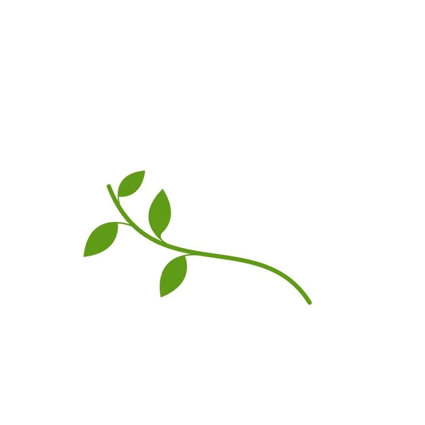 Zöld Levél Logó Ökológia Természet Elem Vektor Ikon — Stock Vector