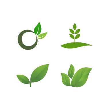 Yeşil yaprak logosu ekoloji doğa element vektör simgesi