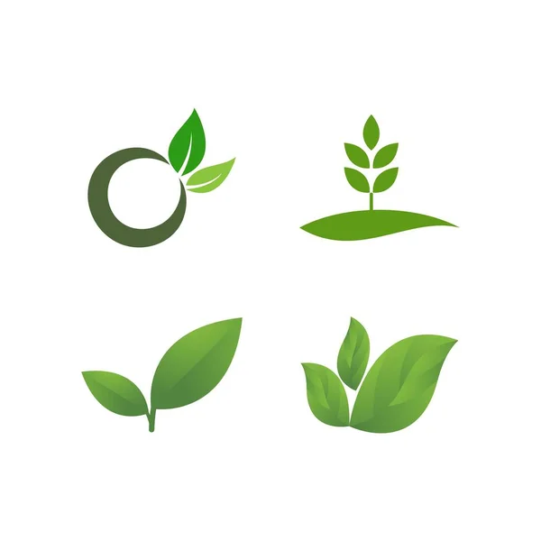 Hoja Verde Logo Ecología Naturaleza Elemento Vector Icono — Vector de stock