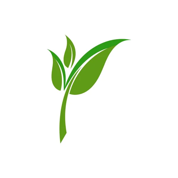 Logo Feuille Verte Écologie Élément Nature Vecteur Icône — Image vectorielle