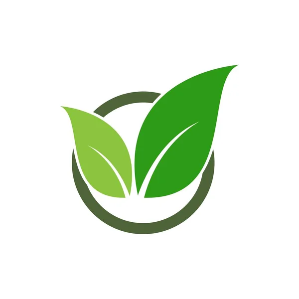 Hoja Verde Logo Ecología Naturaleza Elemento Vector Icono — Vector de stock