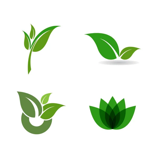 Grünes Blatt Logo Ökologie Natur Element Vektor Symbol — Stockvektor