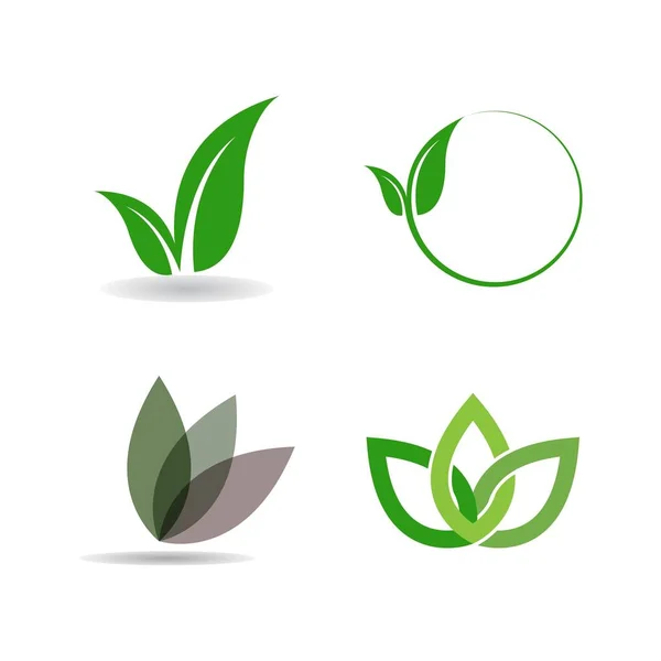 Folha Verde Logotipo Ecologia Elemento Natureza Vetor Ícone —  Vetores de Stock