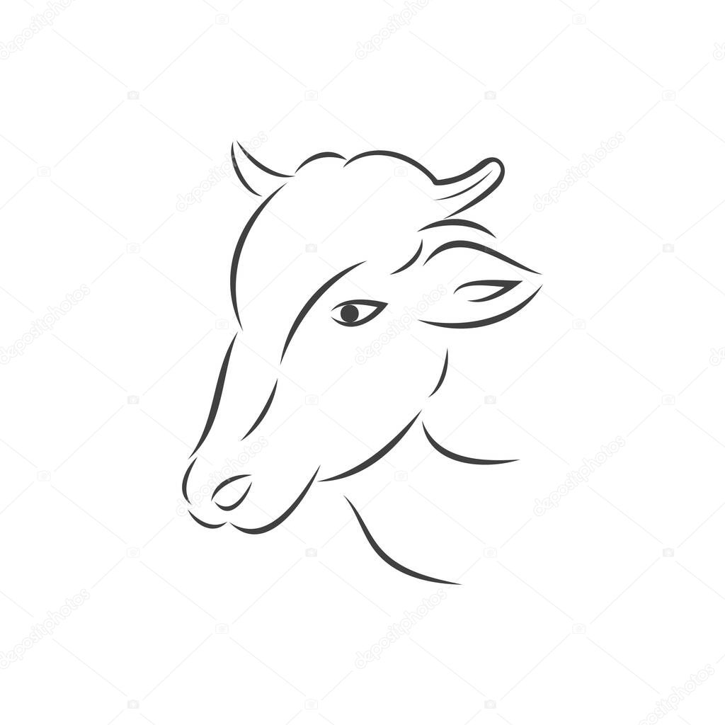 cow logo vector simple design illustration icon