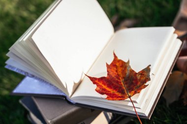 Parktaki yeşil çimlerde sonbahar kompozisyonu. Sıcak kahverengi eşarp. Açılmış notebok boş sayfalarında akçaağaç yaprağı.