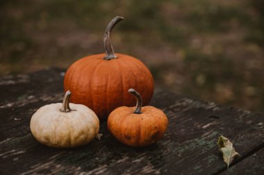 Dışarıdaki ahşap masadaki küçük balkabaklarına yakın plan. Sonbahar bileşimi.
