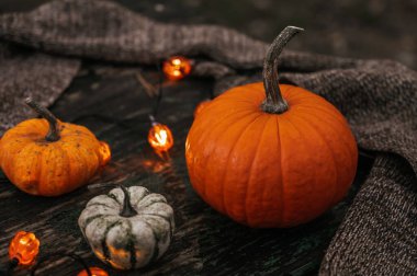 Balkabağı, çelenk ve eski ahşap masaya örülmüş yün atkı yakın plan. Sonbahar bileşimi.