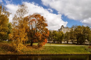 Kanallı bir sonbahar parkı. Sarı yapraklı ağaçlar. Bulutlu bir gün. Riga, Letonya.