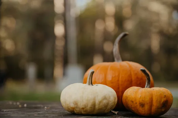 Close Van Kleine Pompoenen Houten Tafel Buiten Herfstsamenstelling — Stockfoto