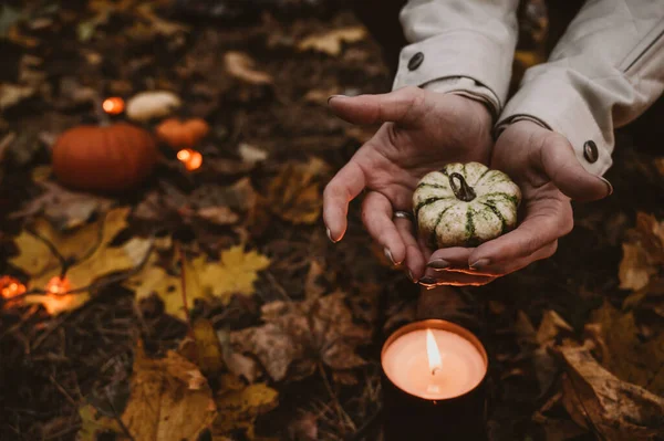 Kleine Decoratieve Pompoenen Handen Een Close Kaars Bloemenslinger Gevallen Bladeren — Stockfoto