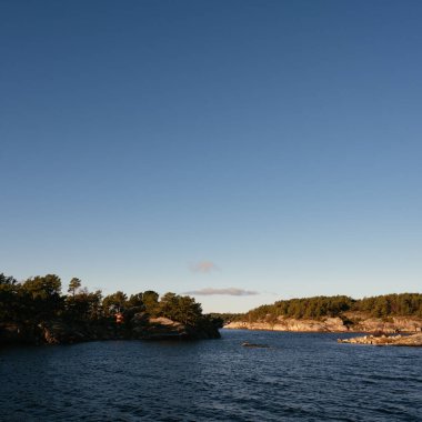 Lusefjord 'daki kayalık adalardaki ağaçların manzarası. Fiyort gezisi. Norveç 'te turizm. Güneşli bir günde güzel doğa..