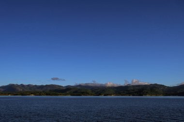 Lusefjord 'daki kayalık adalardaki ağaçların manzarası. Fiyort gezisi. Norveç 'te turizm. Güneşli bir günde güzel doğa..