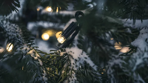 Close Garland Lights Snowy Christmas Tree Winter Holiday Spirit — Stok fotoğraf