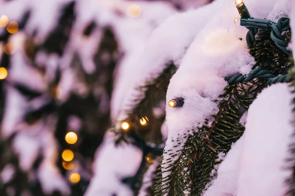 Close Garland Lights Snowy Christmas Tree Winter Holiday Spirit — Stok fotoğraf