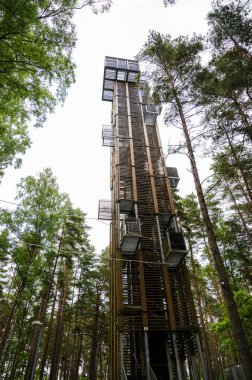 Bottom view of a high observation tower in a pine forest. Jurmala, Latvia.