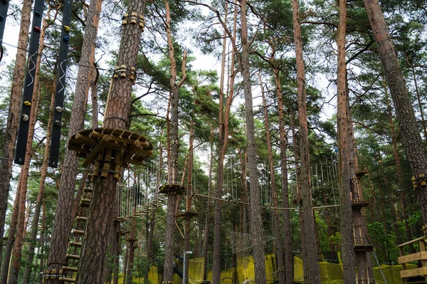 Rope amusement park among the trees. Activity in the forest and park.