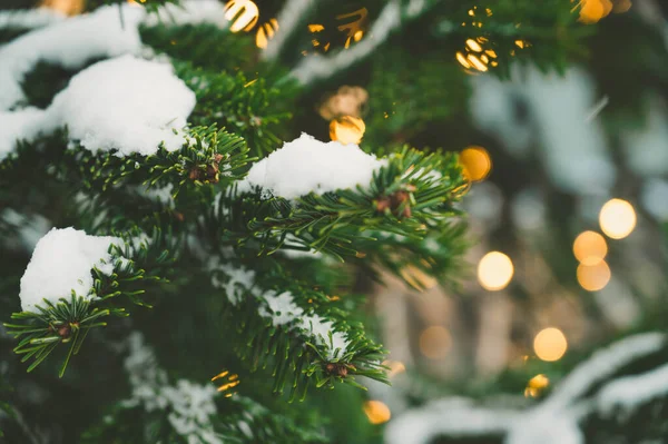 Bokeh Garland Lights Snowy Christmas Tree Close Branch Winter Holiday — Stok fotoğraf