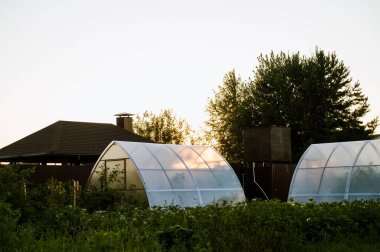 Greenhouses in summer garden.