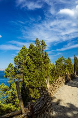 Scenic landscape of blue sky, sea and green trees. Beautiful summer nature of Crimea. The village of Novy Svet. The Golitsyn Trail.