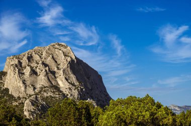 Beautiful landscape of sunny nature of Crimea. Mountain. Juniper grove.