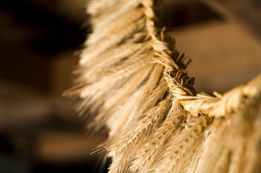 Close-up of wreath of spikelets. Boho style. Ripe wheat. Harvest.