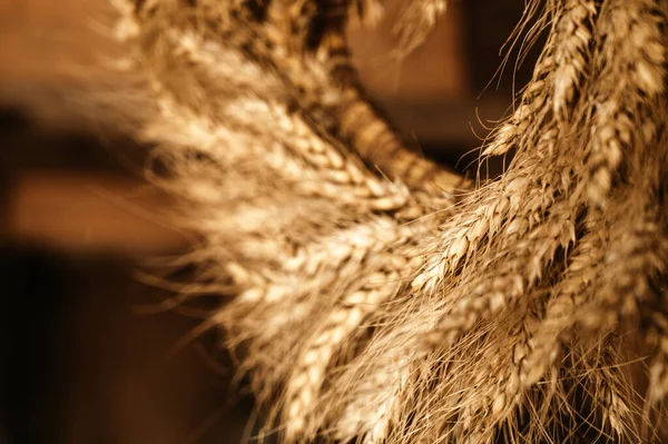 Close-up of wreath of spikelets. Boho style. Ripe wheat. Harvest.