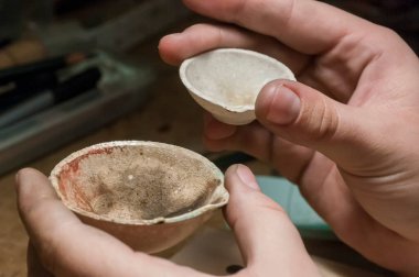 Çetin ceviz, yüksek refraktör kapasiteli.