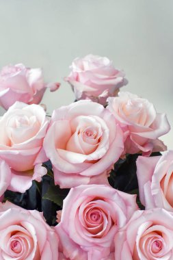 Arka plan için pembe gül. Fotokopi alanı olan güzel gül çiçekleri arka planı. Çiçek aranjmanı. Kart. Uluslararası Kadınlar Günü. 