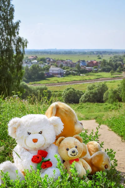 Familia Urșilor Pluș Plimbare Concent Familie Fotografie Amuzantă — Fotografie, imagine de stoc